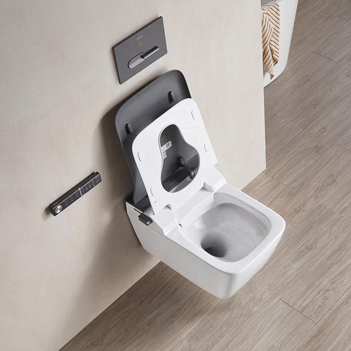 Arrow Glacier Унитаз Smart 41x60см, с функцией биде, подвесной, безободковый, клавиша смыва, цвет: белый/серый