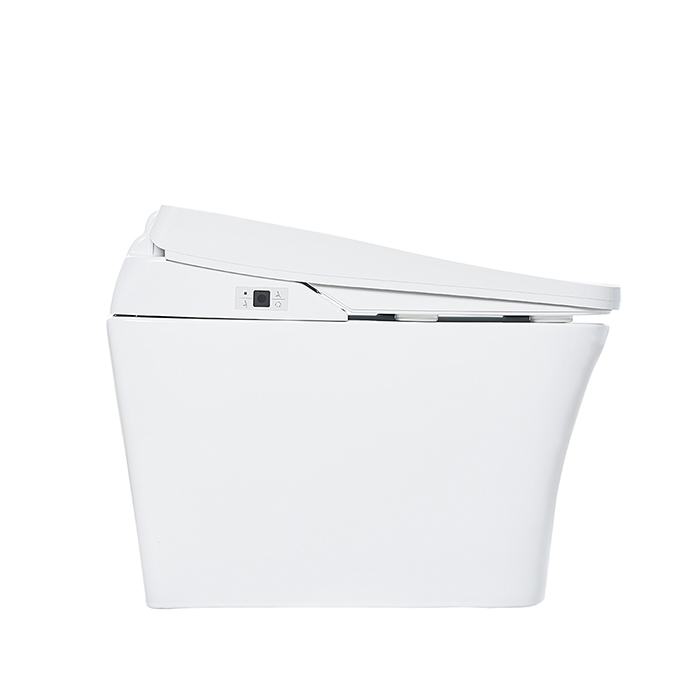 SensPa Tankless Электронный унитаз 41x70x54см, напольный, TCB-9100WA, цвет: белый