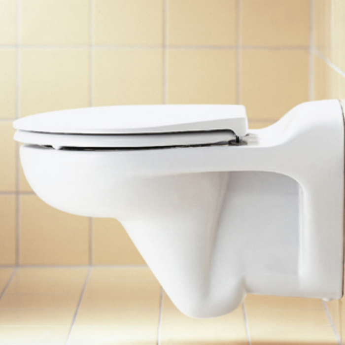 Унитазы и биде Duravit Duraplus - описание , цены, харарактеристики