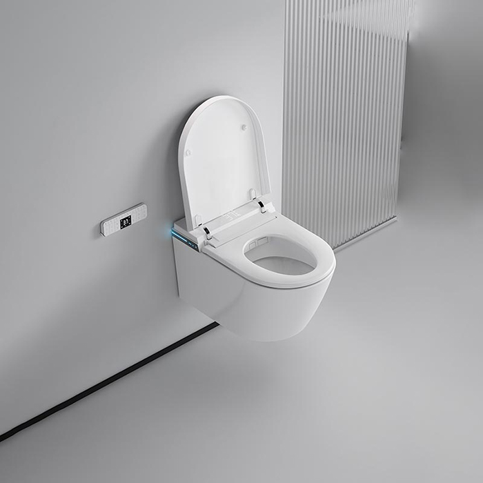 NEMO Унитаз 60x38см, с функцией биде, электронный, с крышкой-сиденьем, цвет: белый