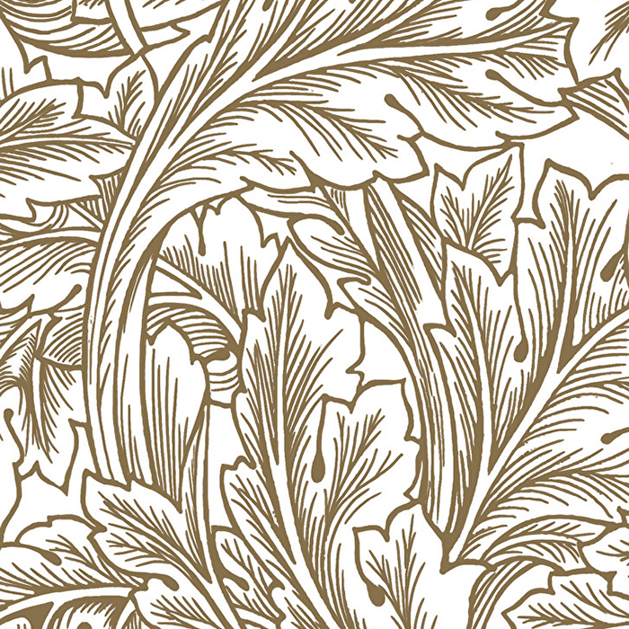 Devon&Devon Decor Slabs Керамогранит 120x240см, универсальная, глазурованнаный, декор: acanthus white&gold
