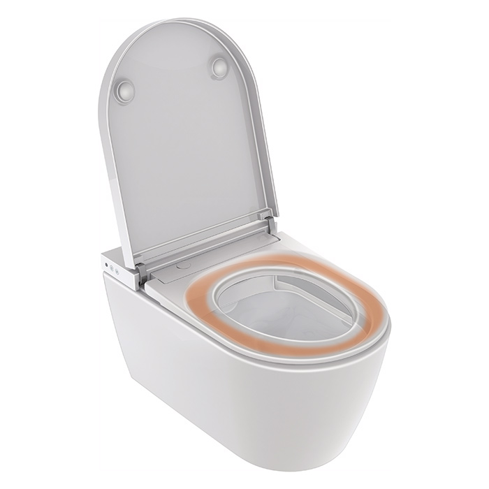 Duravit Starck F Plus Унитаз подвесной, безободковый, с сиденьем Sensowash Lite, покрытие Hygieneglaze, цвет: белый