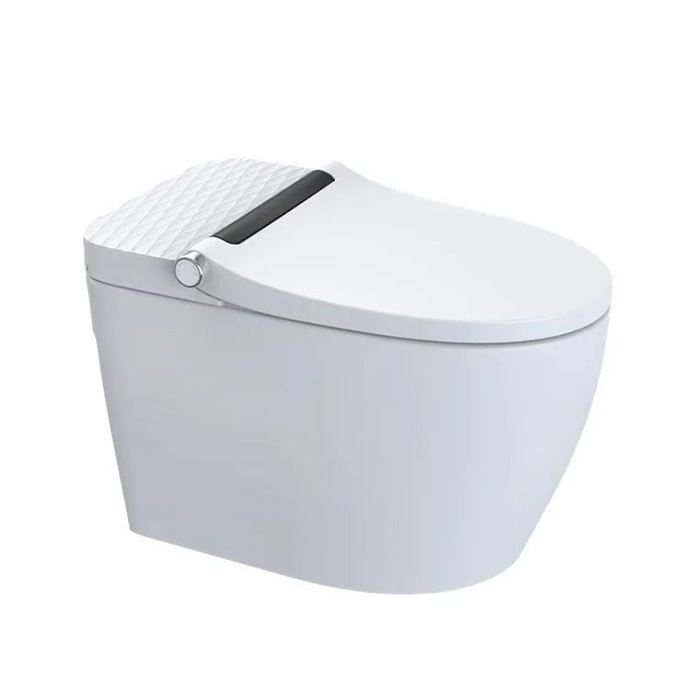 Arrow Pollux Унитаз Smart 40x68см, с функцией биде, напольный, безободковый, цвет: белый