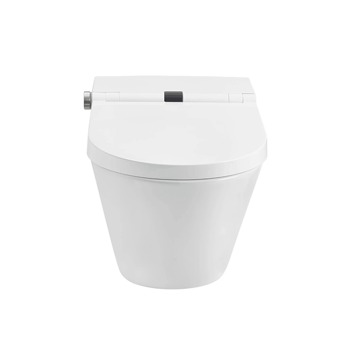 SensPa Neo Электронный унитаз 39x59x42см, подвесной, JCB-2109S, цвет: белый