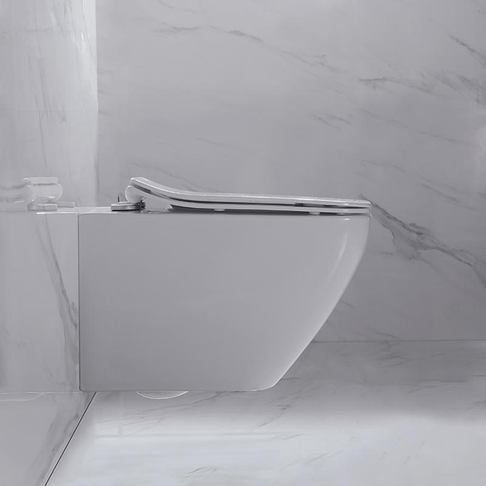 NEMO Унитаз 53x36см, подвесной, безободковый, сиденье микролифт, цвет: белый глянцевый