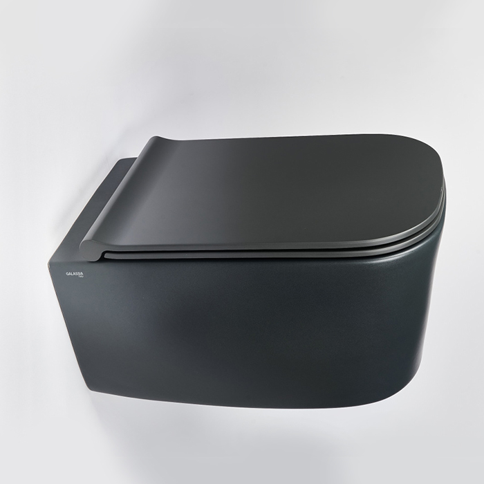 Galassia Meg11Pro Унитаз подвесной 55x35см., безободковый, с сиденьем 5478 цвет: черный матовый