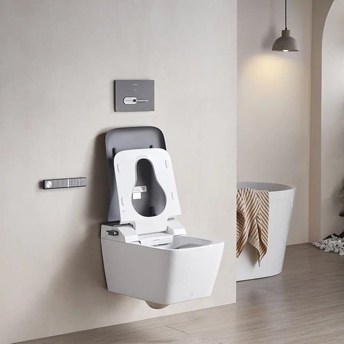 Arrow Glacier Унитаз Smart 41x60см, с функцией биде, подвесной, безободковый, клавиша смыва, цвет: белый/серый