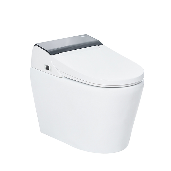 SensPa Tankless Электронный унитаз 39x67x55см, напольный, TC-8100B, цвет: белый/черный
