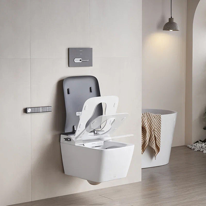 Arrow Glacier Унитаз Smart 41x60см, с функцией биде, подвесной, безободковый, клавиша смыва, цвет: белый/серый