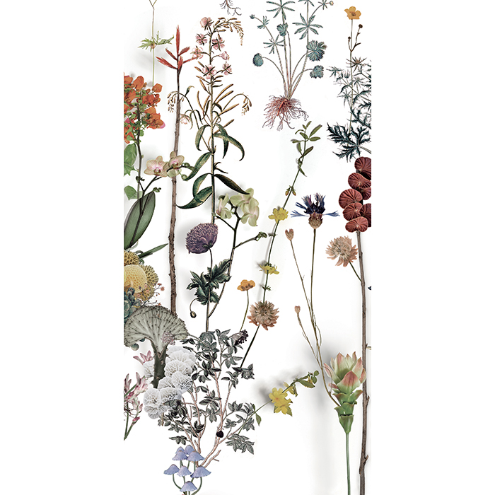 41zero42 Paper41 Lux Керамогранит 60x120см., универсальный, цвет: Franz