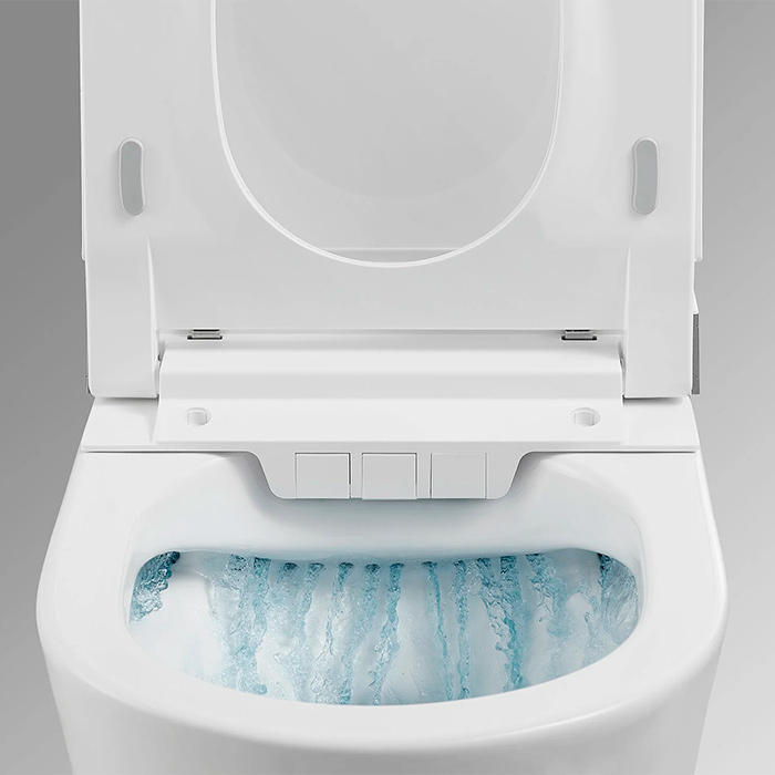 Arrow Pollux Унитаз Smart 34x60см, с функцией биде, подвесной, безободковый, цвет: белый