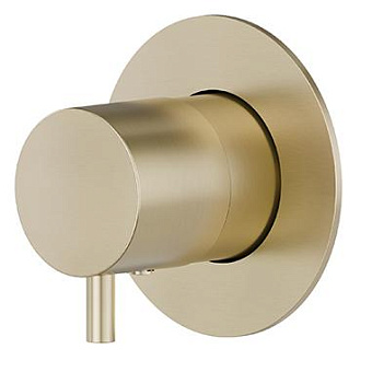 Newform X-Steel 316 Смеситель для душа, встраиваемый, цвет: PVD Brushed pale gold
