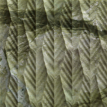 Lithos Design Organic Натуральный камень 60x60x2см, настенный, материал: мрамор verde ming/palma