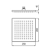 Almar Верхний душ 25x25см., потолочный, 1 режим, цвет: золото PVD