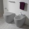 Flaminia Link Унитаз напольный 56x36xh42см, с универсальным выпуском, с системой goclean®, цвет: cenere
