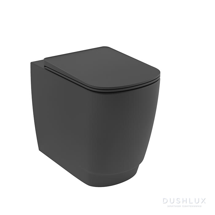 Фото Kludi Resa S Унитаз напольный 55x36см, безободковый, spiralflush, цвет: чёрный матовый