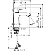 Hansgrohe Metris Смеситель для раковины, на 1 отв., излив 116мм, h100мм, цвет: хром