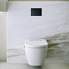 Laufen INEO SUNRISE Клавиша смыва, цвет: черный матовый