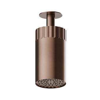 Newform Ionika wellness Потолочный душ 10см, режим дождь, цвет: PVD brushed copper bronze