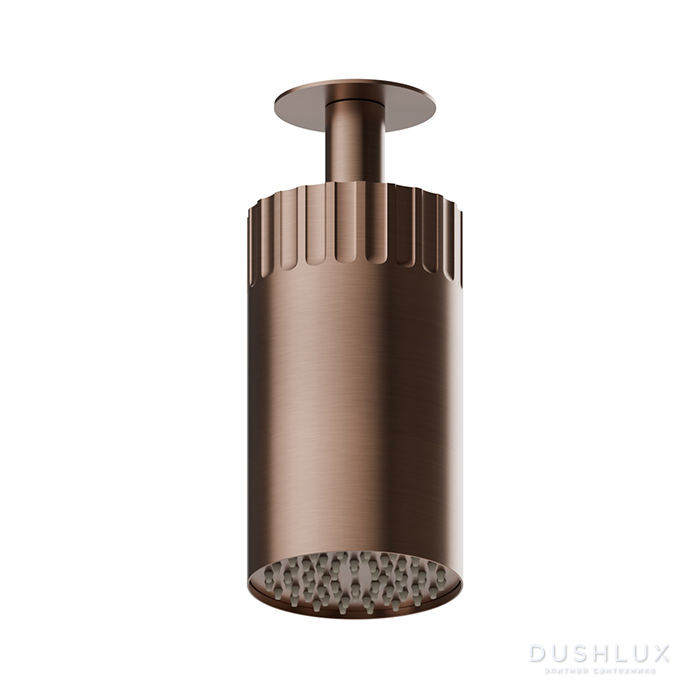 Фото Newform Ionika wellness Потолочный душ 10см, режим дождь, цвет: PVD brushed copper bronze