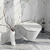 Комплект 6 в 1: унитаз Kerama Marazzi Plaza безободковый, инсталляция, сиденье микролифт, крепление, звукоизоляция, клавиша смыва: белая матовая