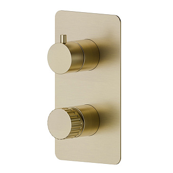 Newform Steel Line Смеситель для душа, встраиваемый, на 2 потока, цвет: pvd brushed pale gold
