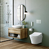 TOTO WASHLET RG Сиденье для унитаза CW553EY/CW561, с дистанционным управлением, цвет: белый