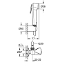 Grohe Tempesta-F Гигиенический душ, с запорным венелем , со шлангом 125см., настенный, цвет: хром