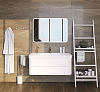 Dushlux Baia Тумба подвесная 110x52x40см, с раковиной, 1 отв., 2 выдвижных ящика, цвет: белый матовый