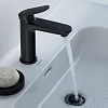 Duravit Wave Смеситель для раковины, 1 отв., с донным клапаном, цвет: черный матовый