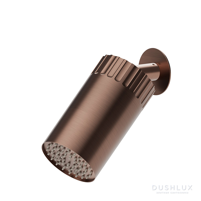 Фото Newform Ionika wellness Настенный душ 10см, режим дождь, цвет: PVD brushed copper bronze