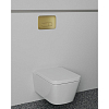 Ideal Standard Oleas™ M3 Механическая панель смыва, двойной смыв, цвет: PVD Brushed Gold