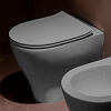 Flaminia APP Унитаз приставной 52x36xh46см, с системой goclean®, цвет: cenere