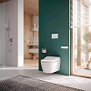 TOTO Washlet RW Сиденье 57.9x39.1x10.8см, с дистанционным управлением, для унитаза CW542/CW563, цвет: белый/серебро