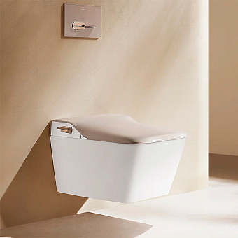Arrow Glacier Унитаз Smart 41x60см, с функцией биде, подвесной, безободковый, клавиша смыва, EU, цвет: белый/бежевый