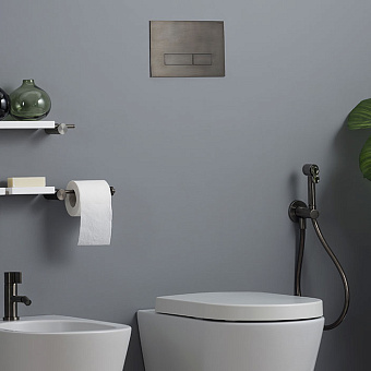 Ritmonio Toilet accessories Панель смыва для Geberit: Sigma 8, Sigma 12; Tece: 2003-2020, 2021-Now; Viega: 3H, 3L, 3F, цвет: Brushed Black Chrome