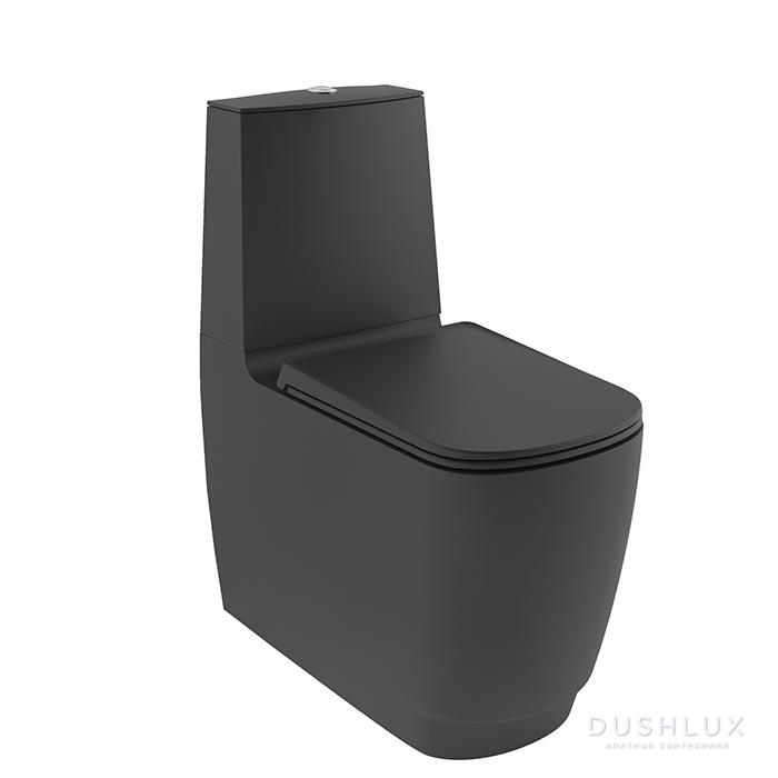 Фото Kludi Resa S Унитаз моноблок 62x34см, безободковый, spiralflush, цвет: чёрный матовый