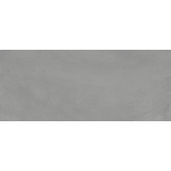 Ergon Pigmento Керамогранит 278x120x0,65см, универсальная, неглазурованный, цвет: Grigio Basalto
