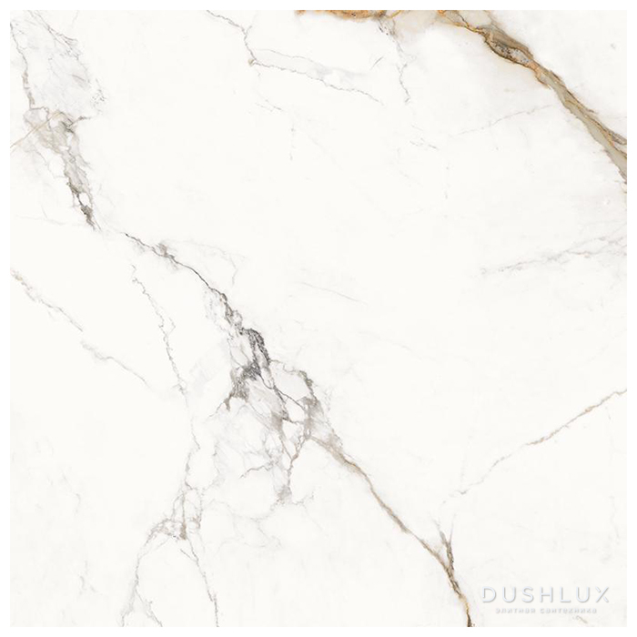 Фото Provenza Unique Marble Керамогранит 120x120x0.65см, глазурованный, универсальная, цвет: Paonazzette Lappato