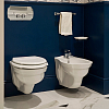 Devon&Devon Westminster Биде подвесное 35x36см., 1 отв., цвет: белый