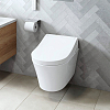 TOTO WASHLET RG Сиденье для унитаза CW553EY/CW561, с дистанционным управлением, цвет: белый