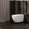 Villeroy&Boch Antheus, Унитаз подвесной, 37.5x56см, с переливом, с антигрязевым покрытием CeramicPlus, цвет: белый