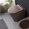 Flaminia APP PLUS Унитаз приставной 52x36xh46см, с системой goclean®, цвет: матовый fango