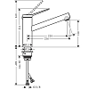 Hansgrohe Zesis Смеситель для кухни, 1 отв., 1jet,  цвет: нержавеющая сталь