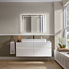Villeroy&Boch Finion Раковина 100х47 см, 1 отв., с переливом, с антигрязевым покрытием CeramicPlus, цвет: белый