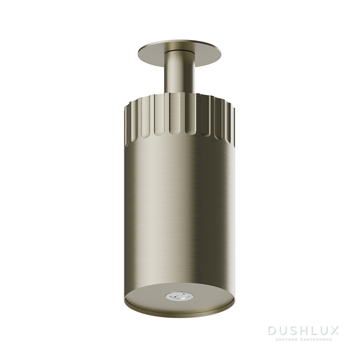 Фото Newform Ionika wellness Потолочный душ 10см, режим распылитель, цвет: PVD brushed pale gold
