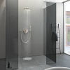 Grohe Rainshower Cosmopolitan Верхний душ 31см., настенный, цвет: никель матовый
