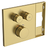 Ideal Standard Ceratherm Navigo Solos Смеситель для душа, встраиваемый, термостатический, цвет: PVD Brushed Gold (Шлифованное Золото)