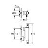 Grohe Grohtherm Special Смеситель для раковины, настенный, термостатический, цвет: хром