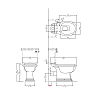 Devon&Devon Westminster Унитаз моноблок 64x36.5 cм, горизонтальный выпуск, с бачком, фурнитура золото, цвет: белый